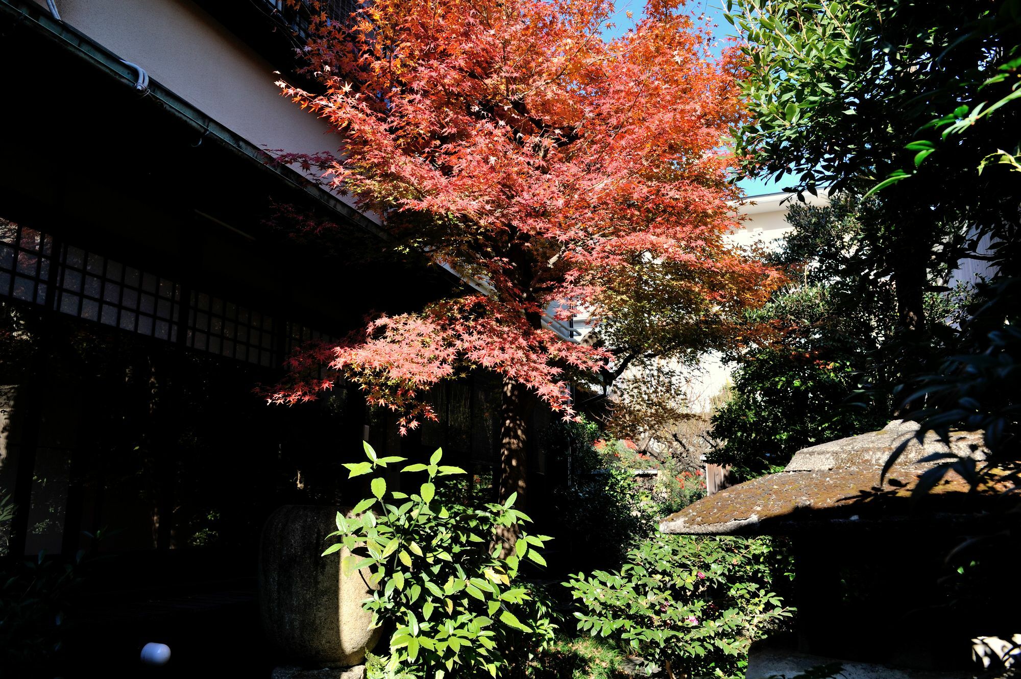 Yadoya Nishijinso Hotel Kyoto Exterior photo